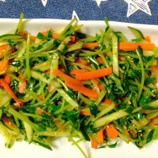 【節約レシピ】中華風の豆苗サラダ